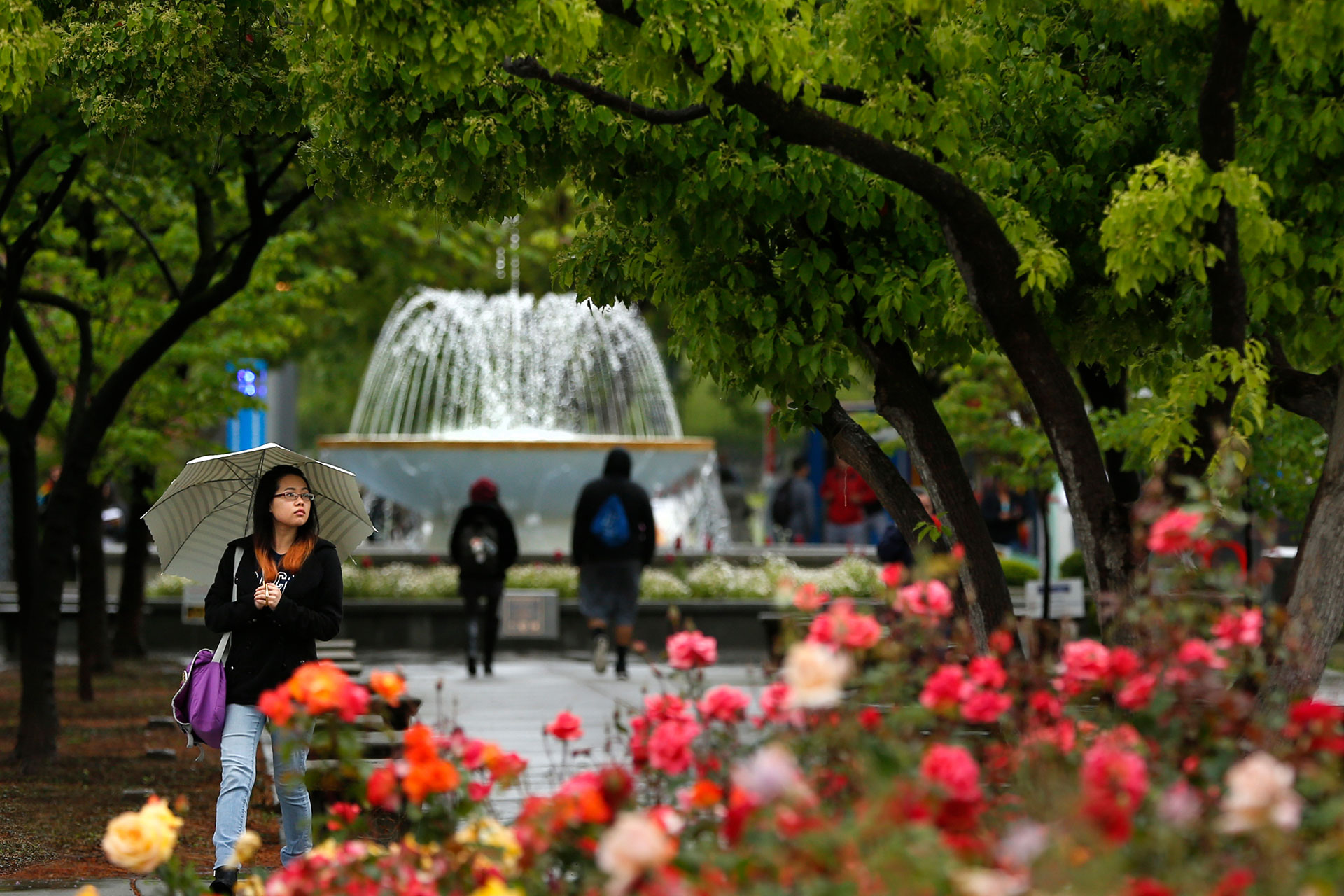 The Fresno State water fountain in spring