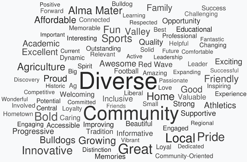 Word Cloud